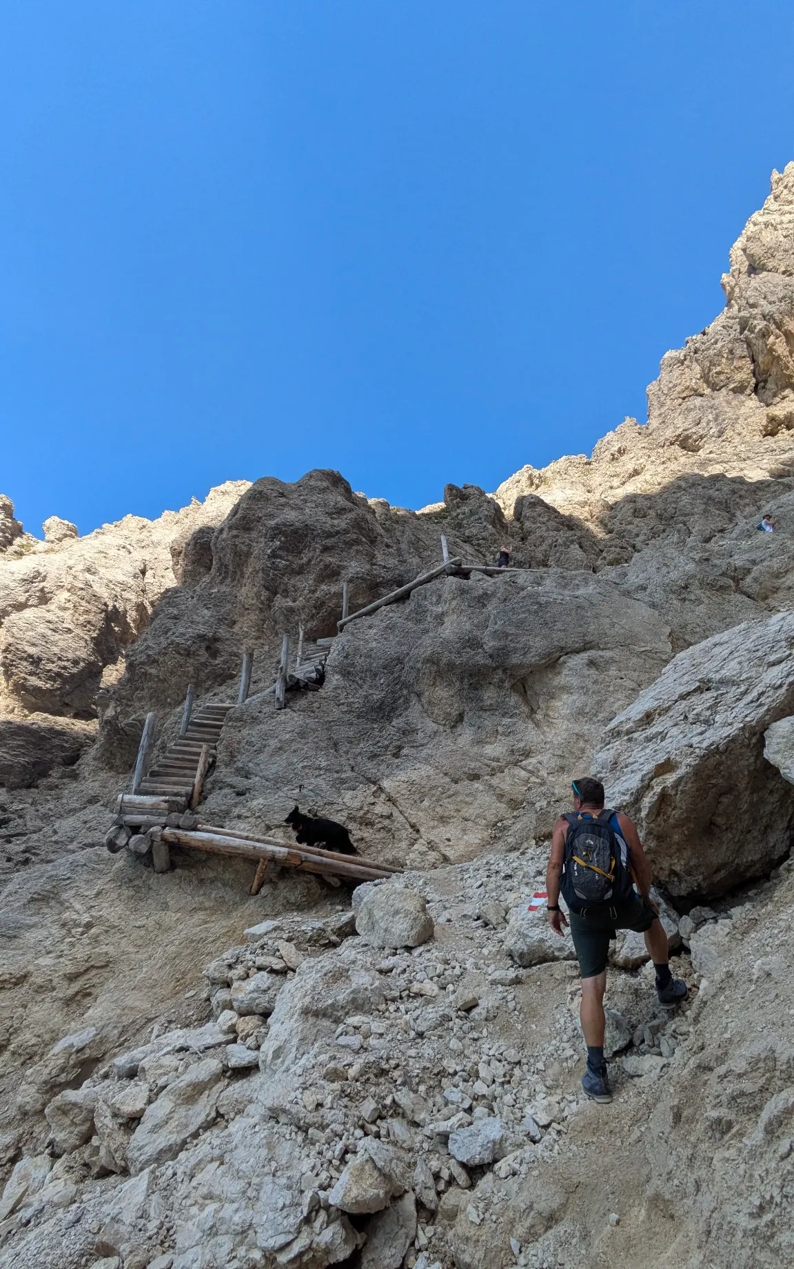 Donat auf einem felsigen Weg im Gebirge vor einer Holztreppe, der weitere Weg ist nicht zu sehen