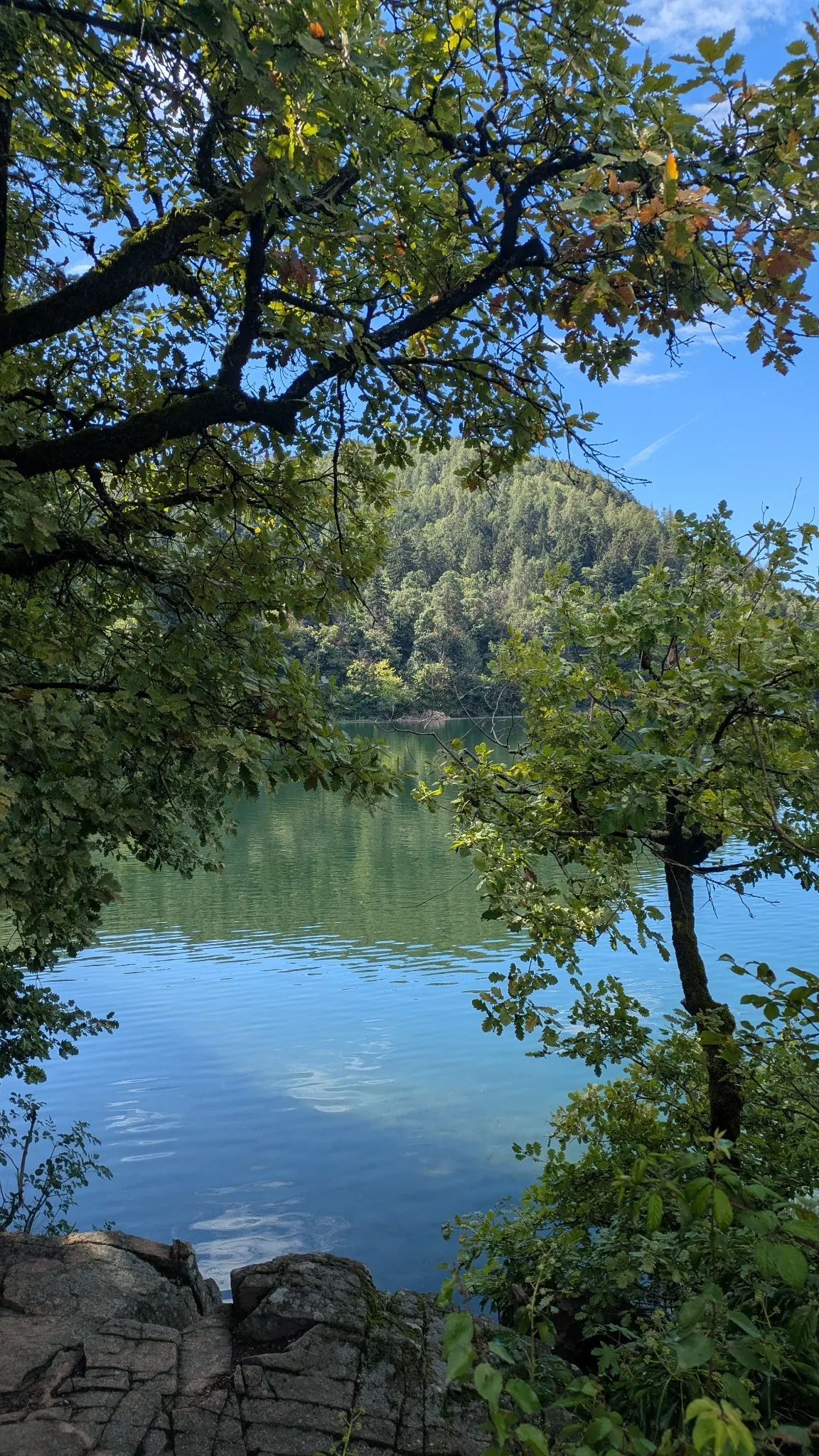 Ruhiger See zwischen Bäumen mit bewaldetem Hügel im Hintergrund